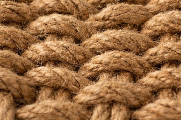 Curled Coir fiber