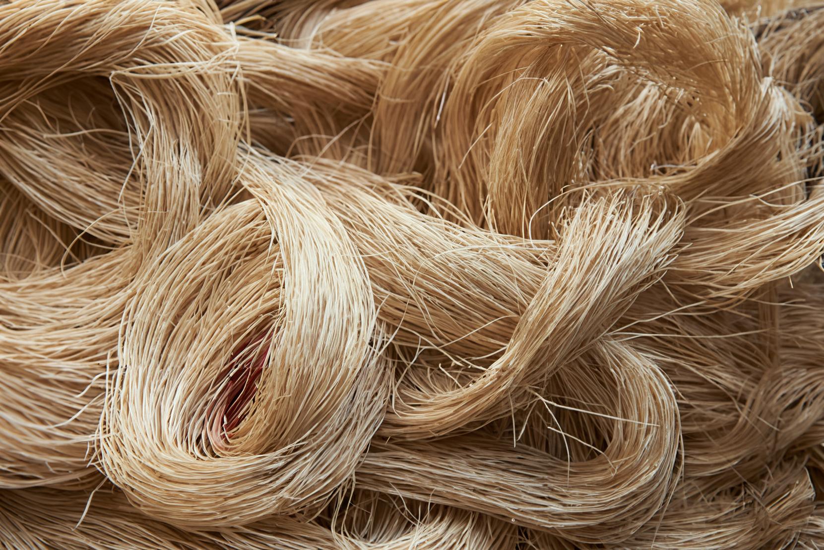 Vegetable Textile Fibers