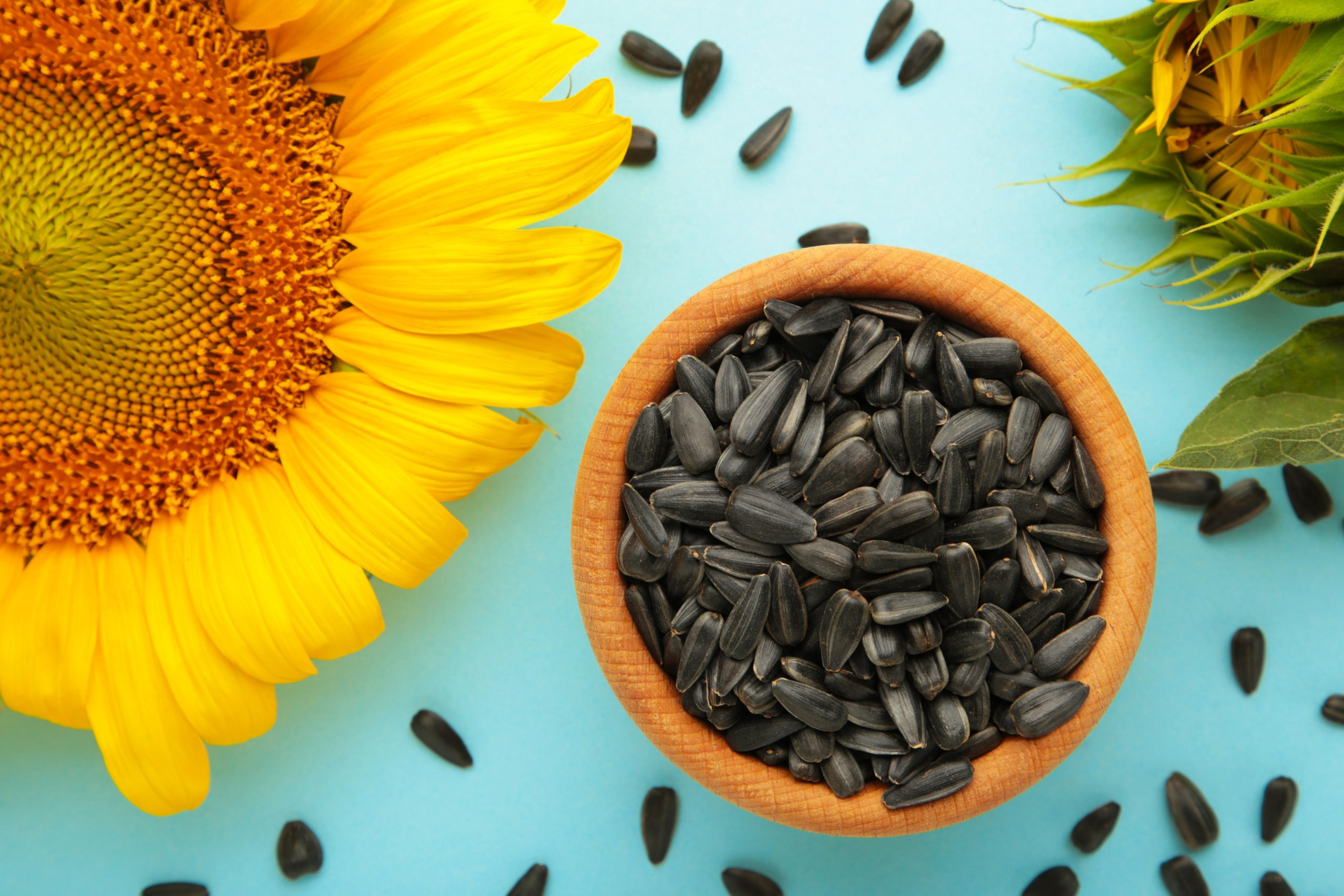 Oil Seeds & Roots