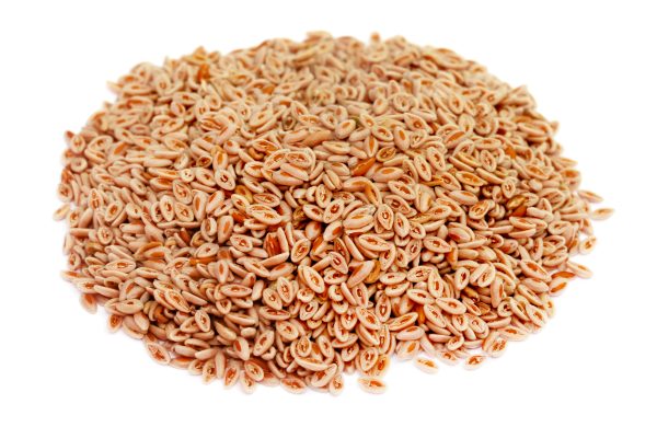 Psyllium Seeds