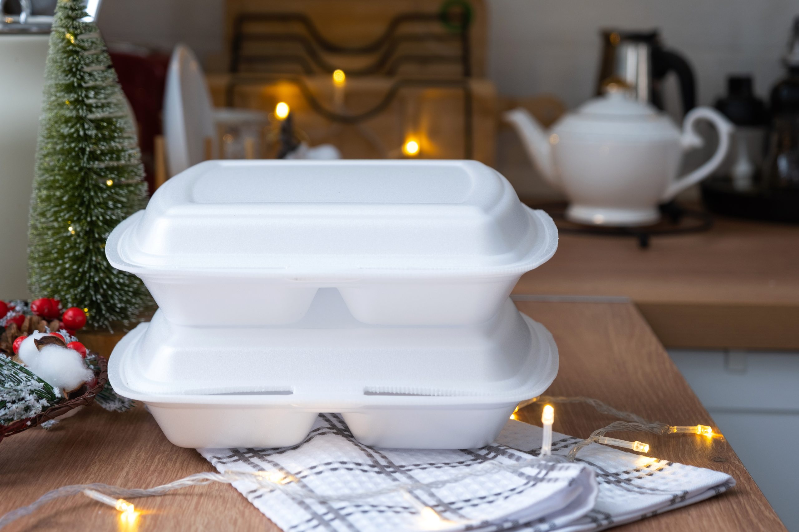 Bagasse Containers